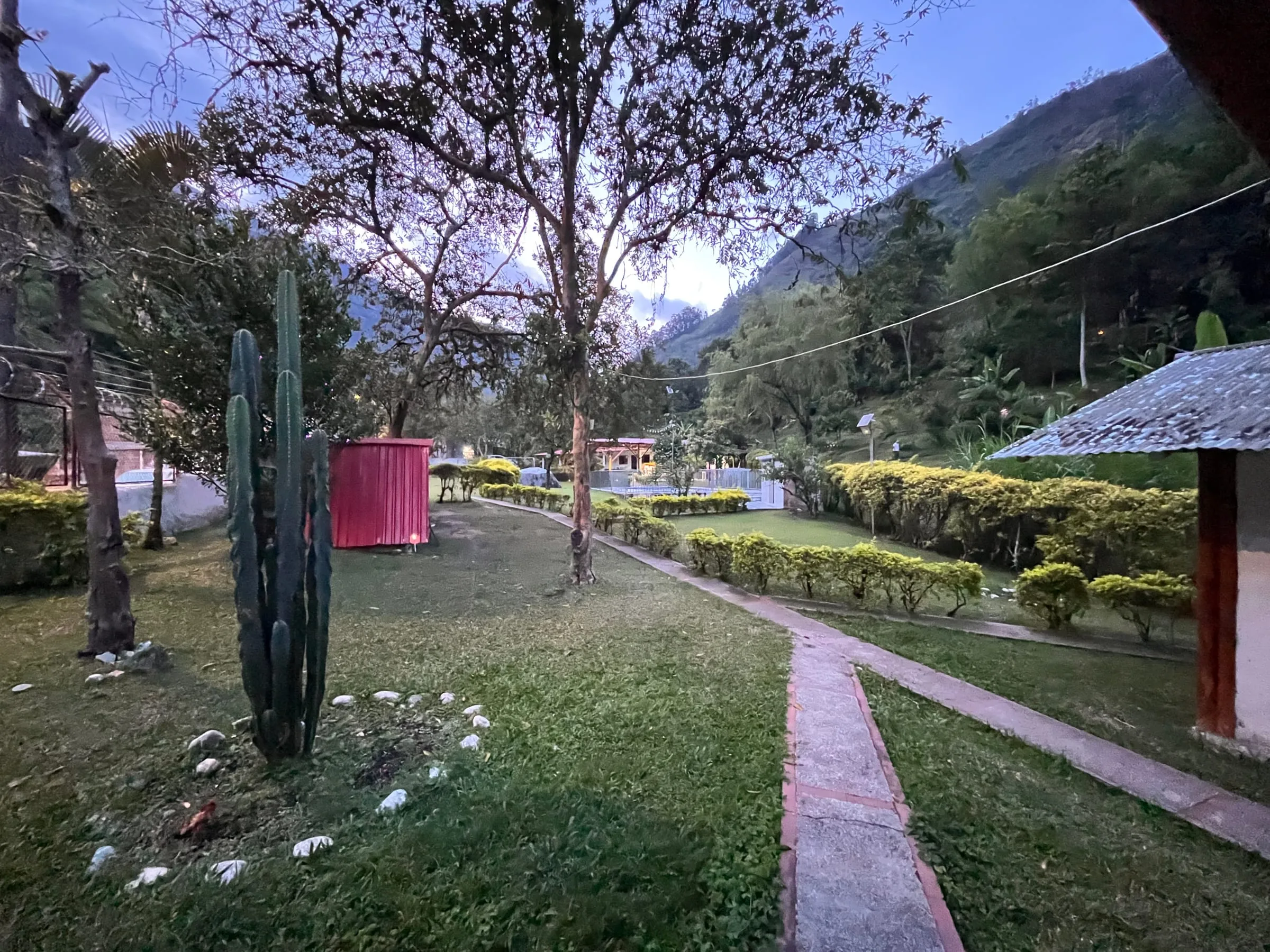 El jardín, al atardecer